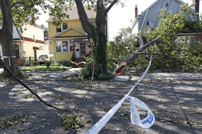 A fallen tree on the roof of a home in Queens due to Tropical Storm Isaias on August 5th, 2020.